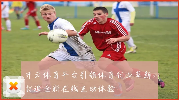 开云体育平台引领体育行业革新，打造全新在线互动体验