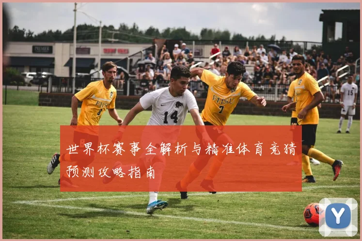 世界杯赛事全解析与精准体育竞猜预测攻略指南