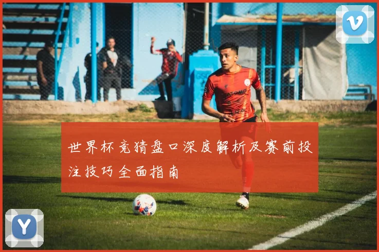 世界杯竞猜盘口深度解析及赛前投注技巧全面指南