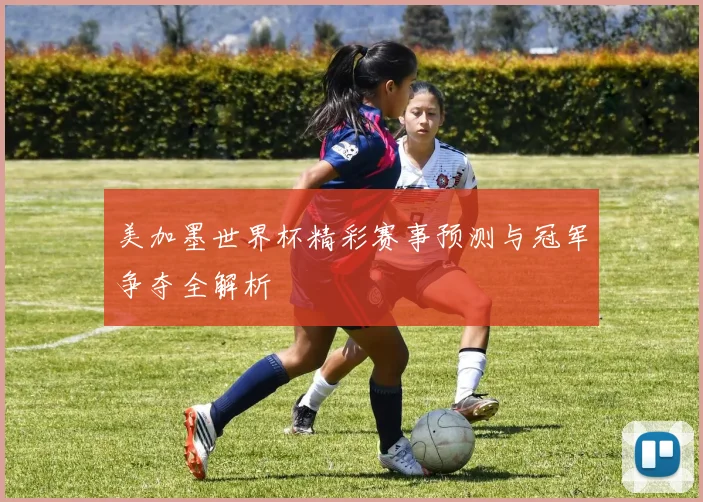 美加墨世界杯精彩赛事预测与冠军争夺全解析