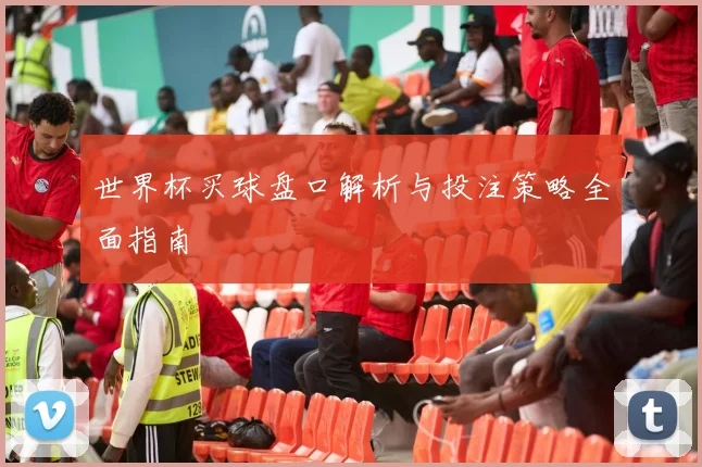 世界杯买球盘口解析与投注策略全面指南